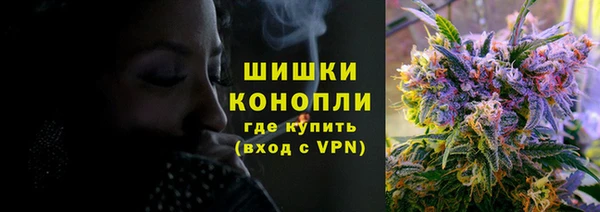 мяу мяу мука Магас