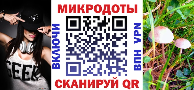 Галлюциногенные грибы прущие грибы  Чекалин 